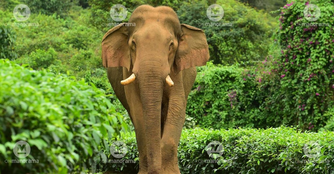 Representational Image: Manorama Archives