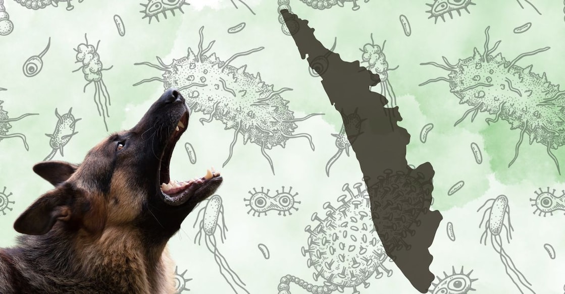 Image: Canva/Onmanorama