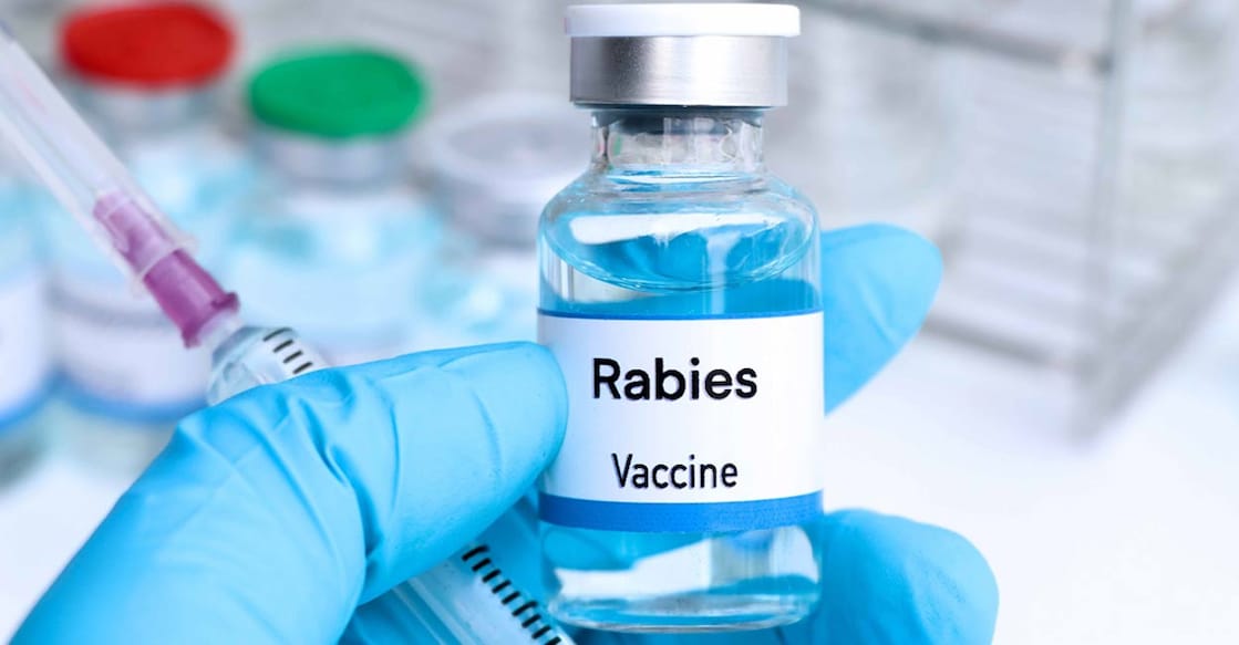 rabies-vaccine rabies-vaccine