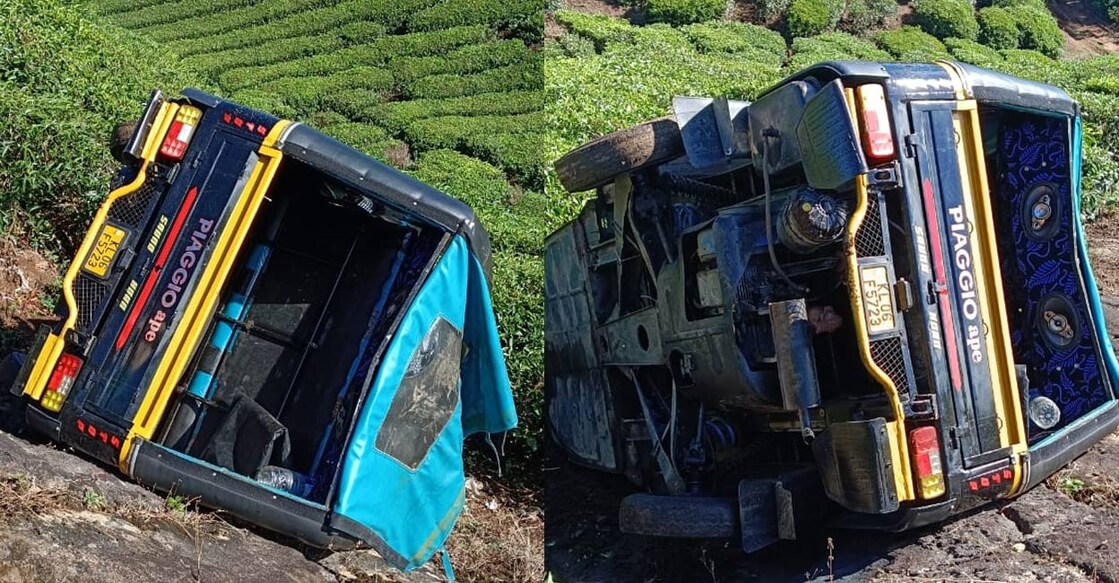 Padayappa attacked several vehicles and roadside shops early on Friday. Photo: Special Arrangement 