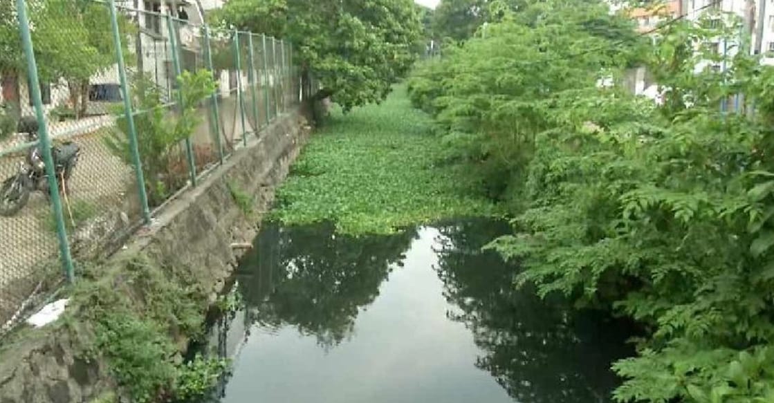 Perandoor canal. Photo: Manorama
