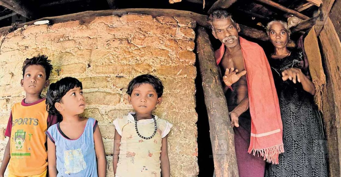 Palakkad-tiger-attack