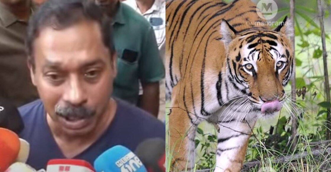 Dr Arun Zachariah addresses media (left) and representational image of a tiger (right). Photo: Manorama News/ Manorama Archives