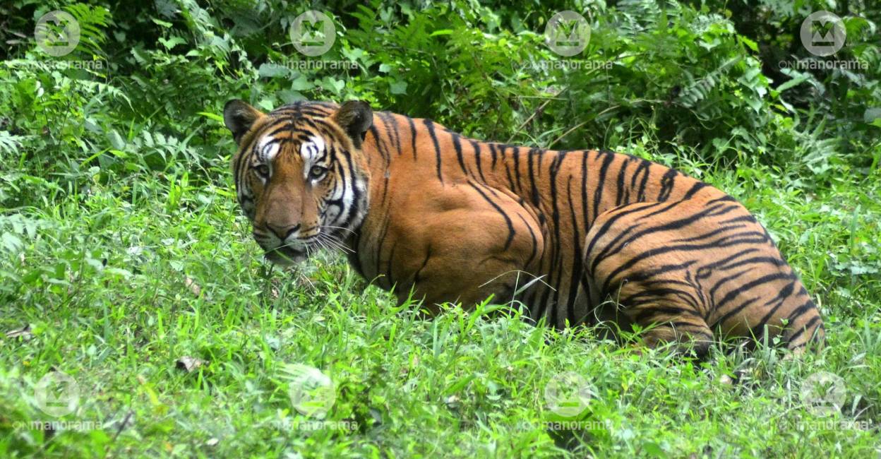 Representational Image: Manorama Archives