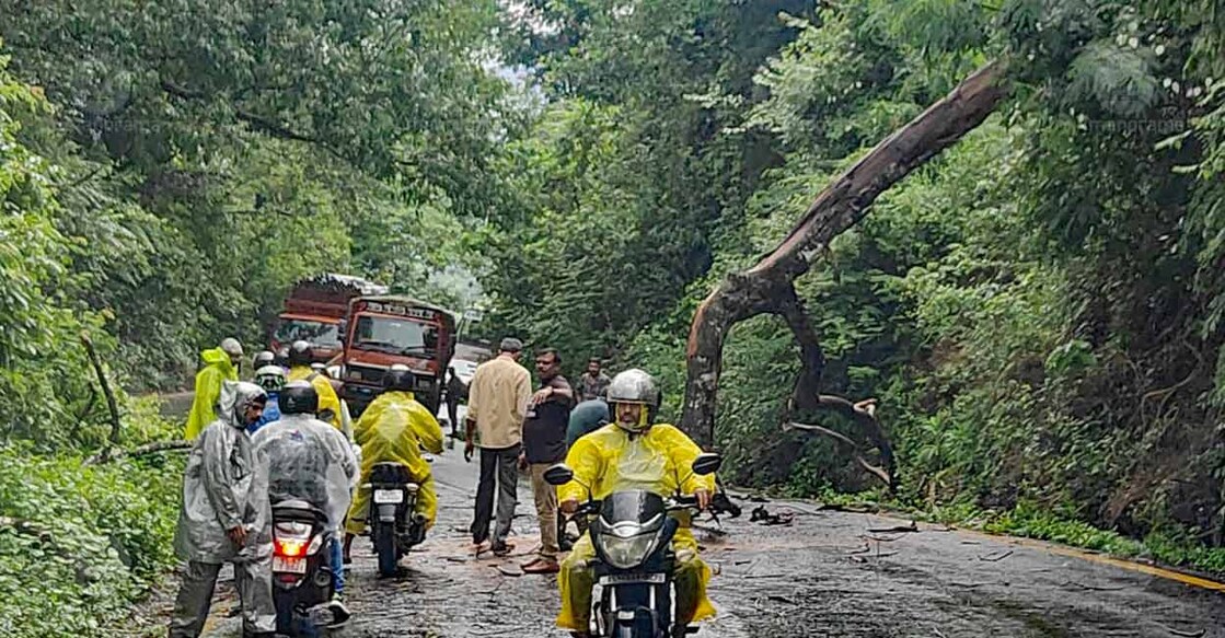 thamarassseri-pic-03-wm-c