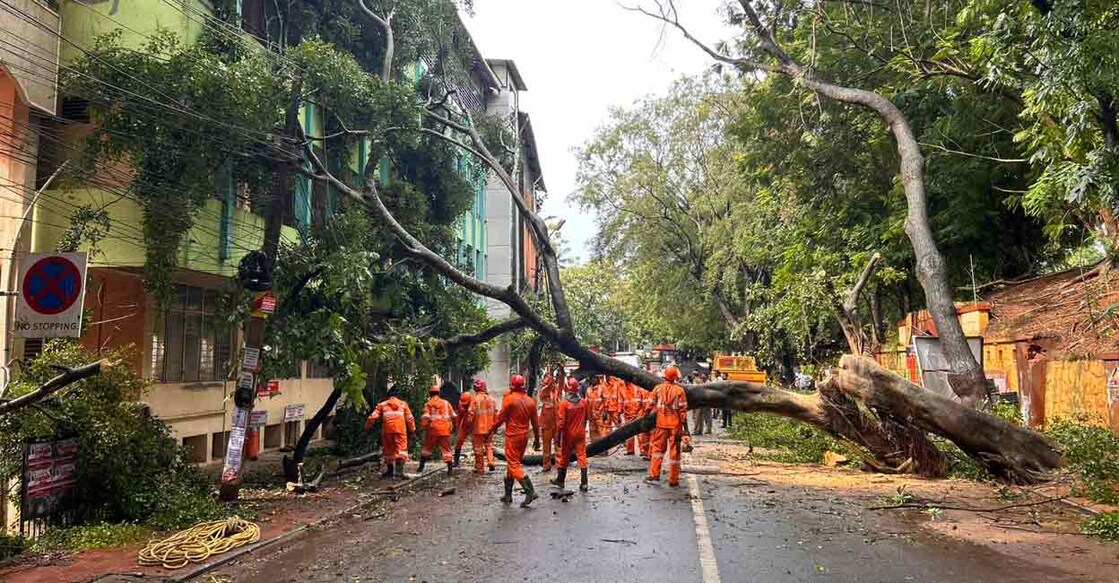 thiruvananthapuram-uprooted-tree-rain
