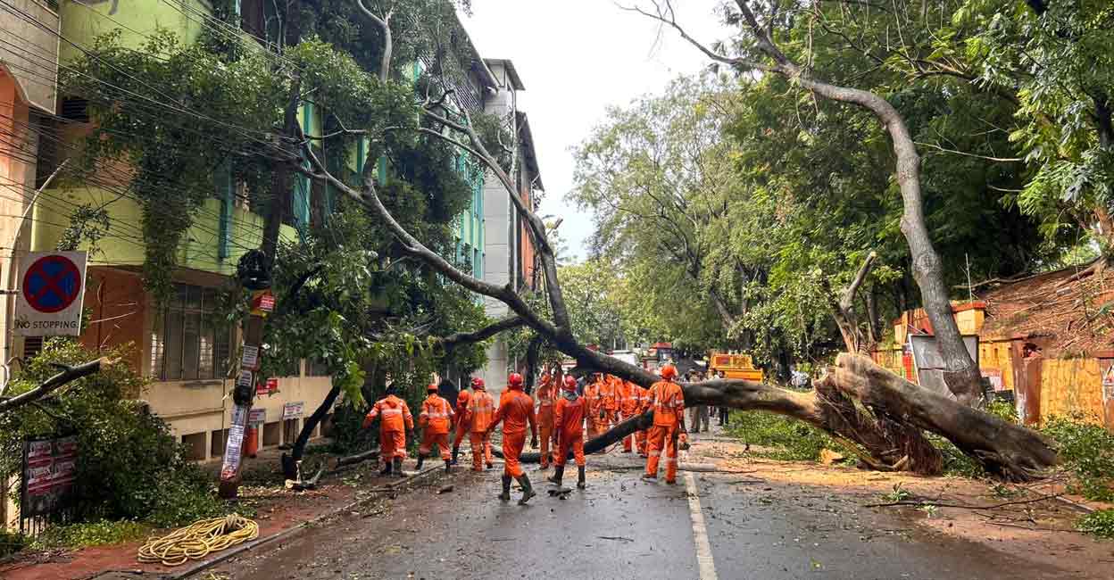 thiruvananthapuram-uprooted-tree-rain