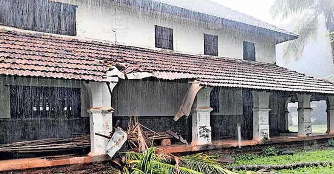 A coconut tree fell on the western side of the Udinoor Palace, a protected monument of the Archaeology Department. Photo: Special arrangement