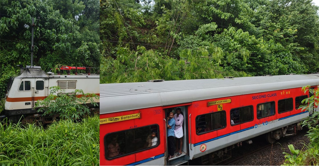 thrissur-tree-train thrissur-tree-train