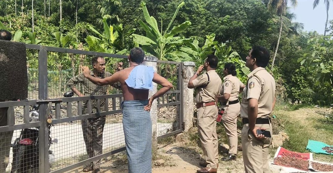 kozhikode-elephant-pantation-forest