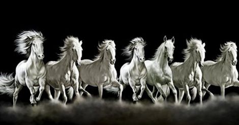 Seven horses