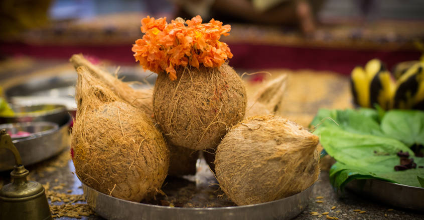 What a broken coconut tells you | coconut | coconut split | pooja | coconut astrological beliefs