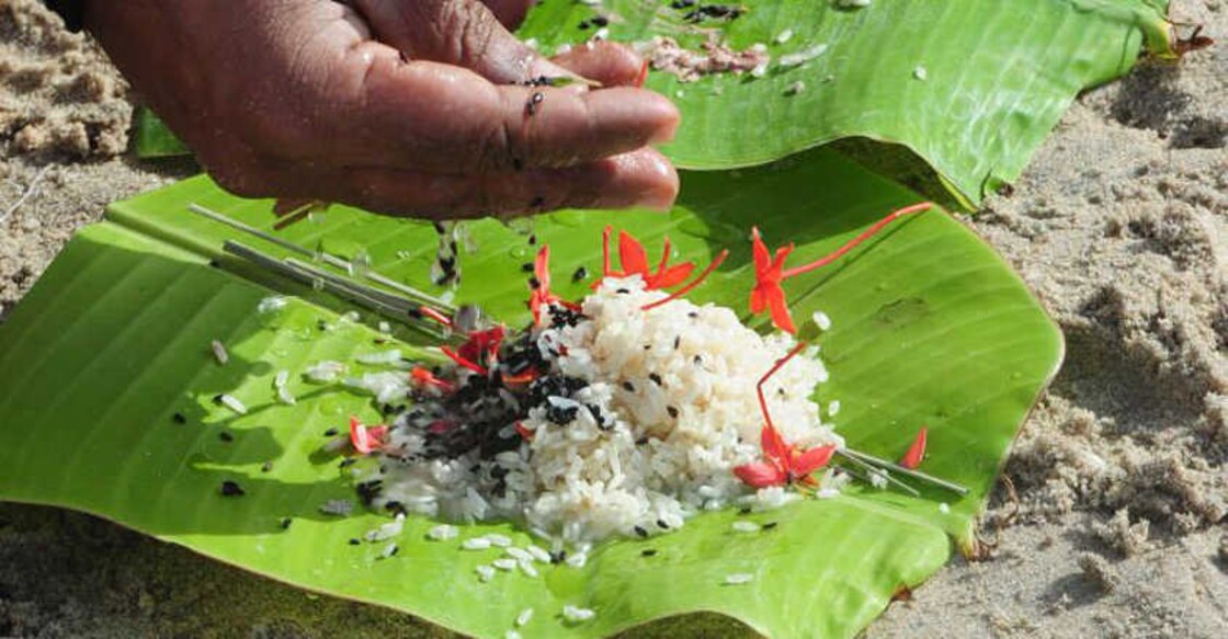 The importance of ‘Karkidaka Vavu bali’