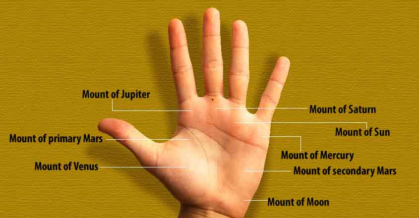 palmistry