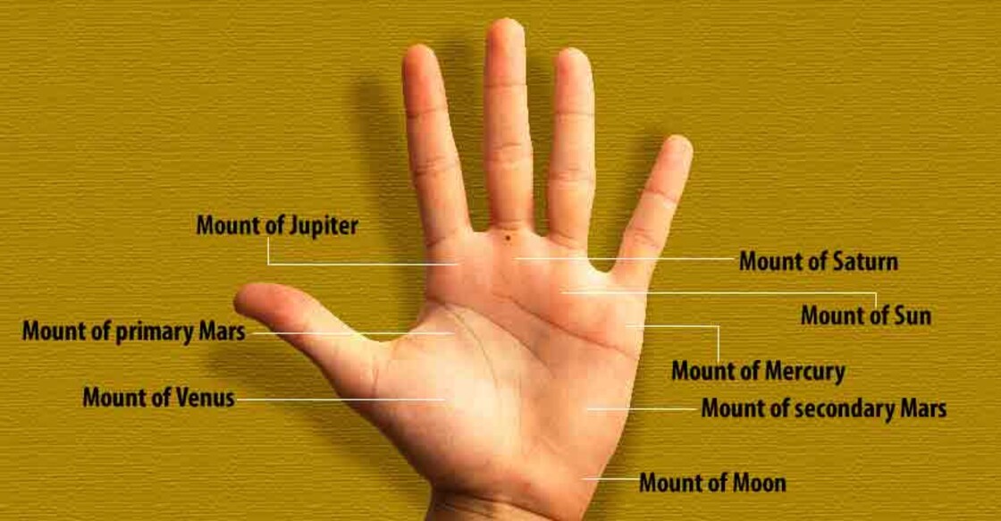 palmistry