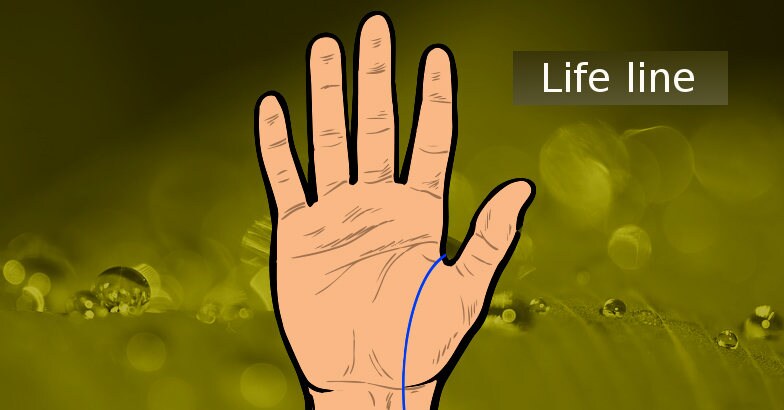 Read fortune, character from the life line on your palm