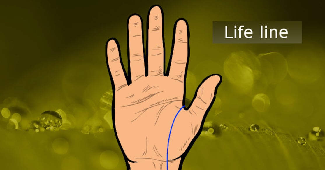 Read fortune, character from the life line on your palm Read fortune, character from the life line on your palm
