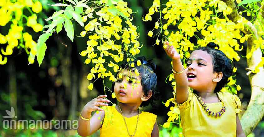 Happy Vishu
