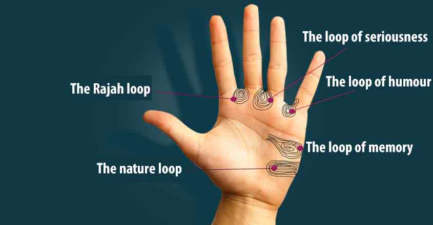 loops-and-lines