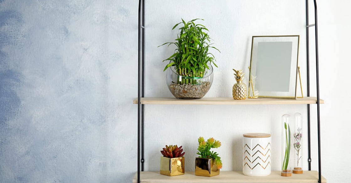 lucky-bamboo-interior