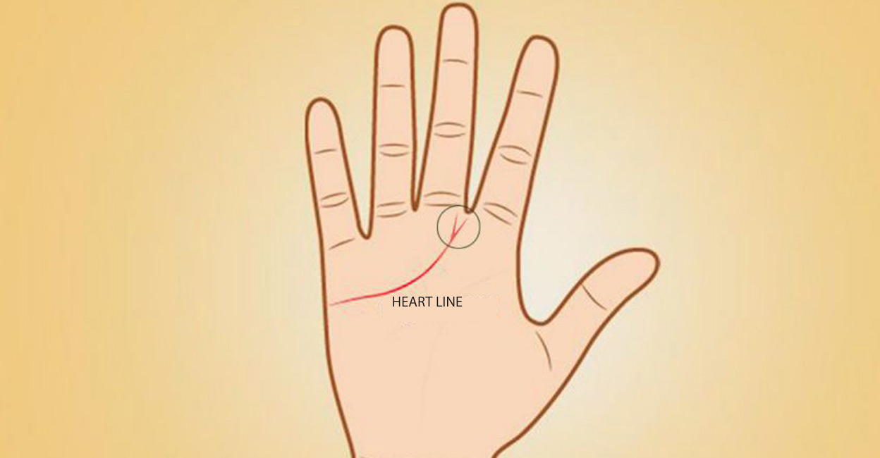 heart-line-c A 'V' pattern on the palm is said to invite prosperity as well as fame.