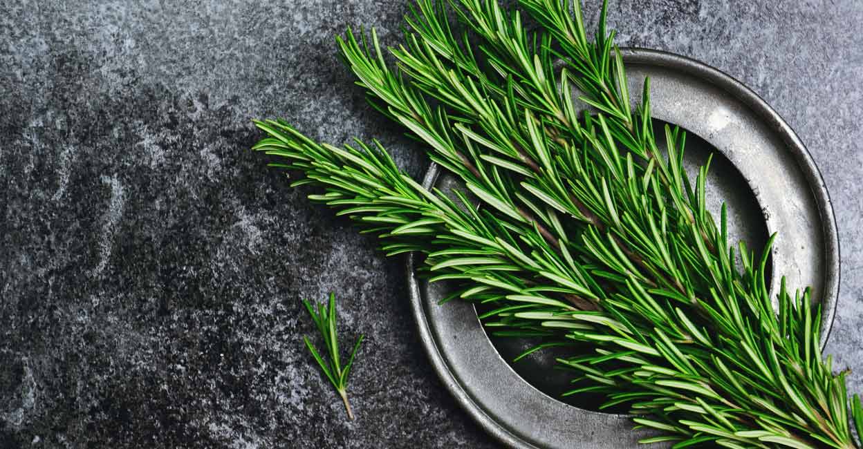 rosemary rosemary