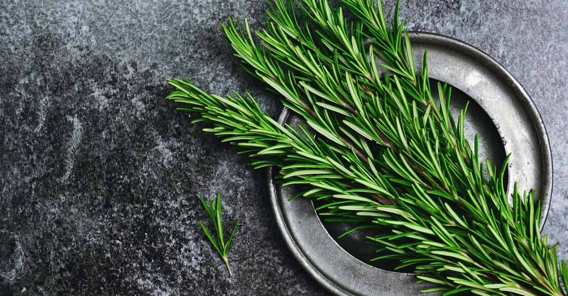 rosemary