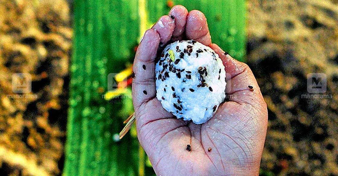 Image Credit: Manorama Online