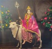 Shailaputri: The goddess worshipped on day 1 of Navaratri festival