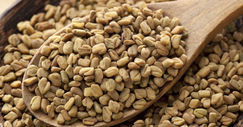 Fenugreek Fenugreek