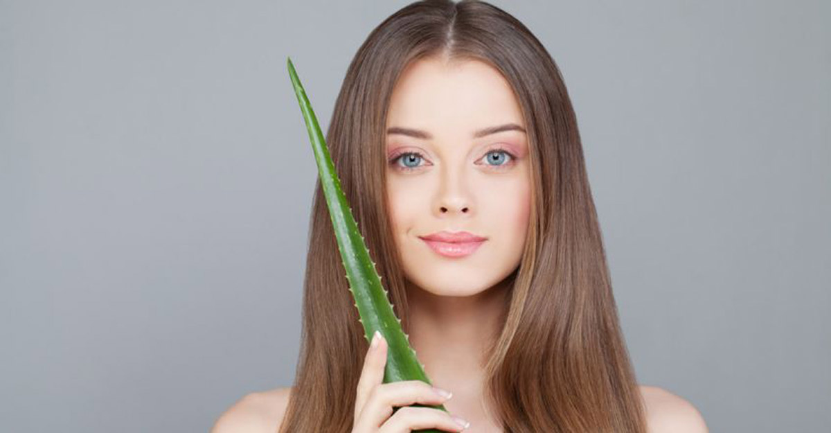 aloe vera
