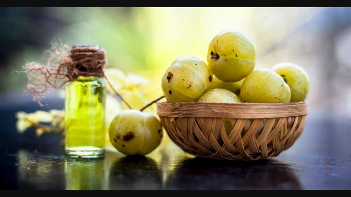 Don't let your hair fall, use amla to make it thick and shiny | Lifestyle  Beauty | English Manorama