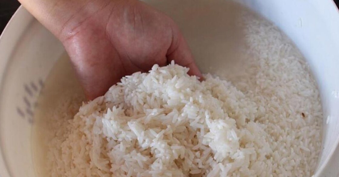 fermented rice