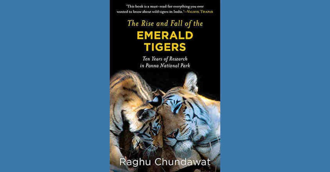 Exposing hidden facts about tigers in Indian forests Exposing hidden facts about tigers in Indian forests
