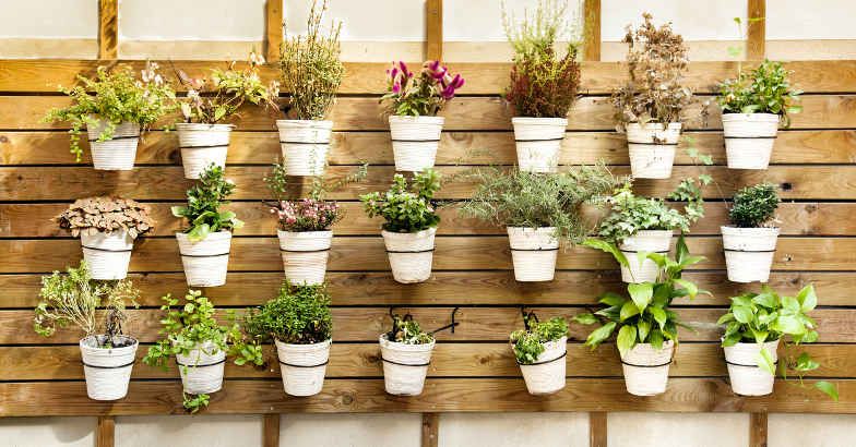 4 tips to create a garden at home