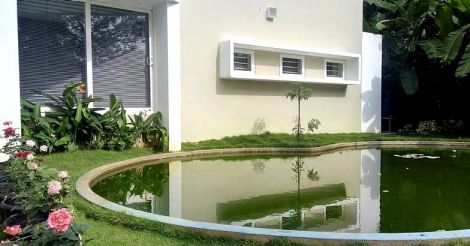 smeram-nature-friendly-pond.jpg.image.784.410