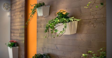 How green is your house?