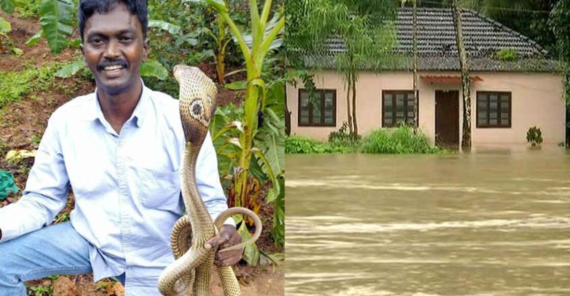 Steering clear of reptiles in inundated homes: Vava Suresh offers tips
