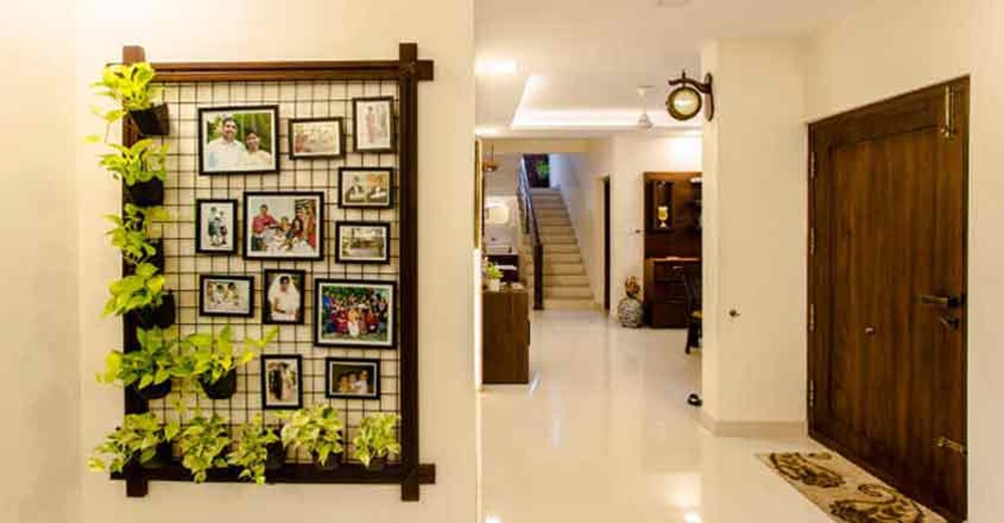 vertical garden