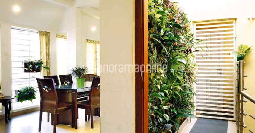 green-home-vertical-garden-05-c green-home-vertical-garden-05-c