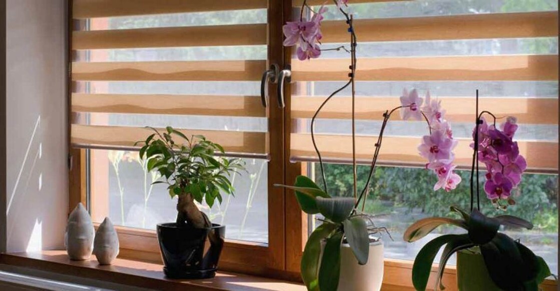 interiors