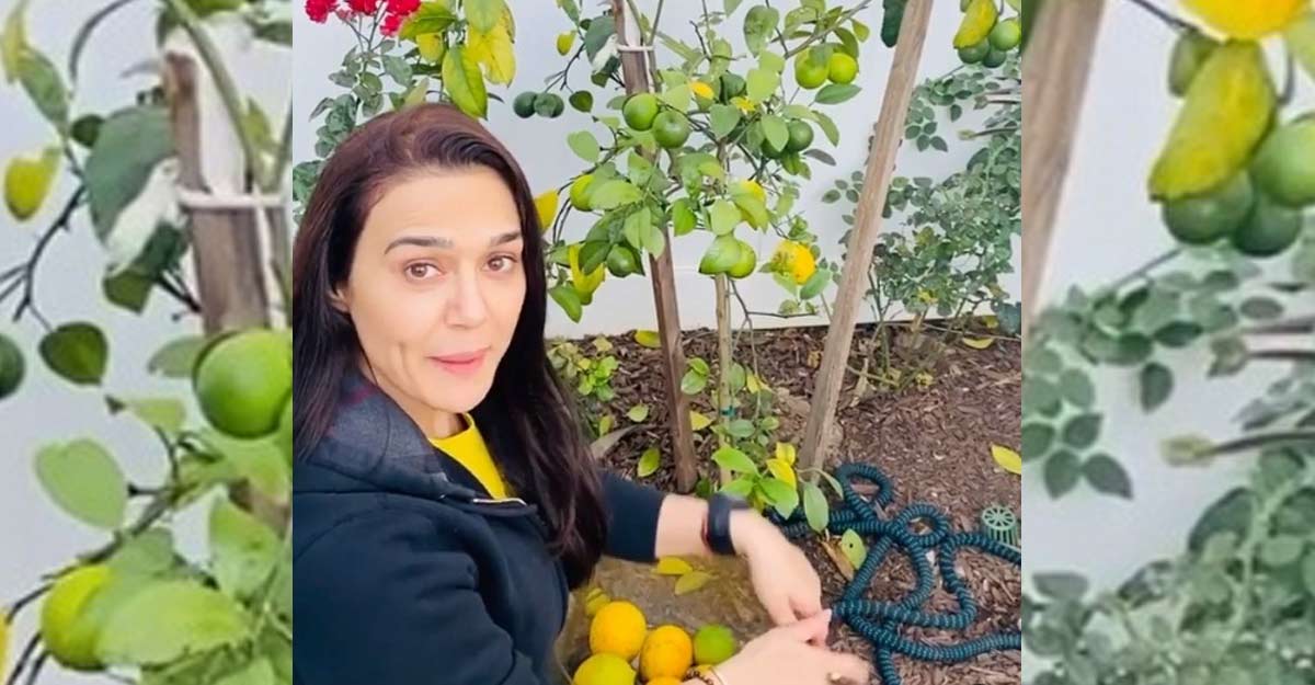 Preity Zinta Preity Zinta