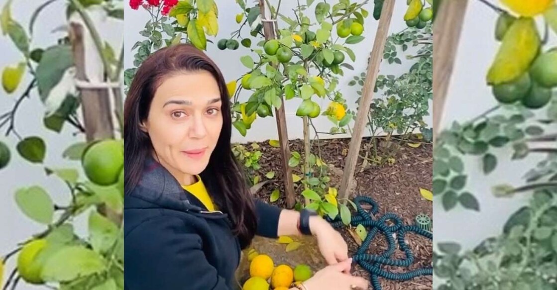 Preity Zinta