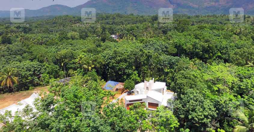 idukki-house-02 idukki-house-02