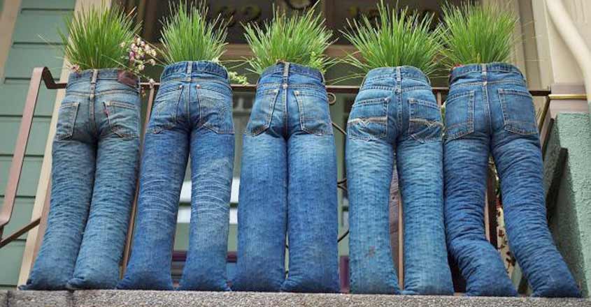 jeans garden