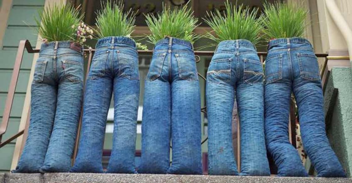 jeans garden