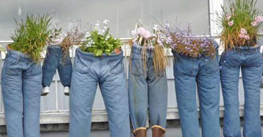 Try this unique 'jeans' garden to recycle your old denims | Lifestyle ...