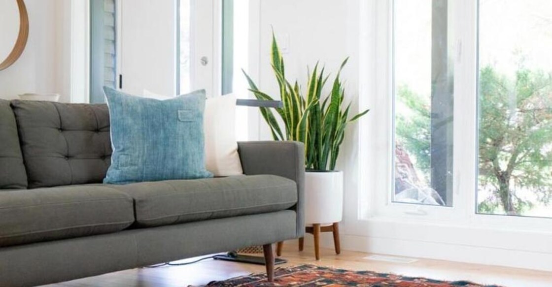 Bringing opulence to your home on a budget.