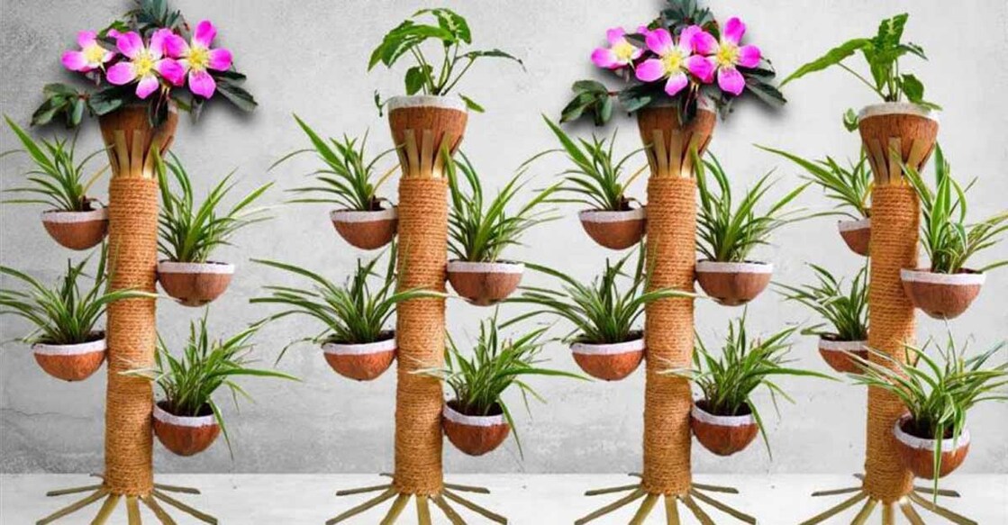Try this easy spiral planter using coconut shells and bamboo