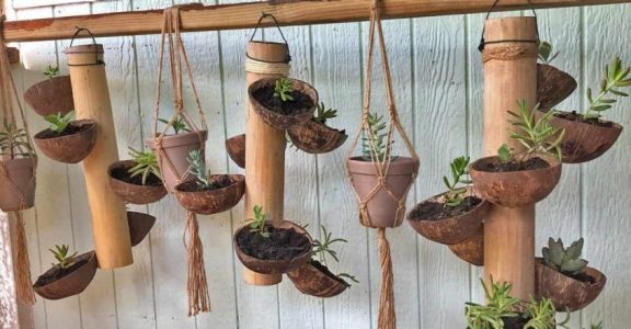 Try this easy spiral planter using coconut shells and bamboo, Lifestyle  Decor